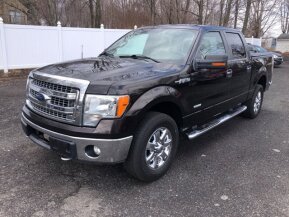 2013 Ford F150 for sale 101868613