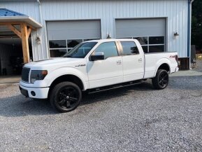 2013 Ford F150 for sale 101923016