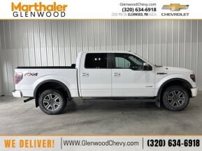 2013 Ford F150 for sale 101936360