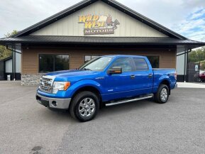 2013 Ford F150 for sale 101968209