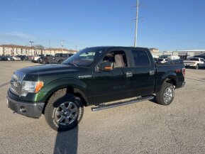 2013 Ford F150 for sale 101969560
