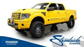 2013 Ford F150 for sale 101980739