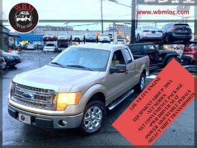 2013 Ford F150 for sale 101991401