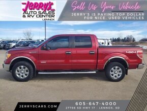 2013 Ford F150 for sale 102002446