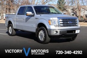 2013 Ford F150 for sale 102005275
