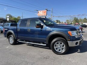 2013 Ford F150 for sale 102017524