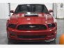 2013 Ford Mustang GT for sale 101827394