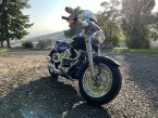 Thumbnail Photo 2 for 2013 Harley-Davidson Softail for Sale by Owner