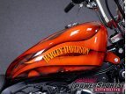 Thumbnail Photo 17 for 2013 Harley-Davidson Sportster
