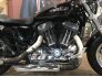 2013 Harley-Davidson Sportster 1200 Custom for sale 201303444