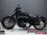 2013 Harley-Davidson Sportster for sale 201409665