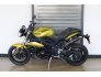 2013 Triumph Speed Triple ABS for sale 201278149