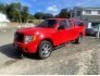 2014 Ford F150 for sale 101794624