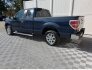 2014 Ford F150 for sale 101811538