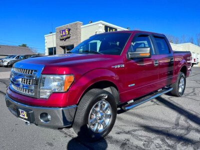 2014 Ford F150 for sale 101815717