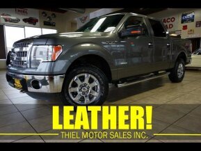 2014 Ford F150 for sale 101817871