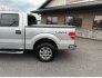 2014 Ford F150 for sale 101822445