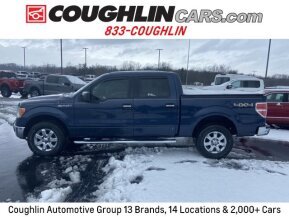 2014 Ford F150 for sale 101841092