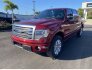 2014 Ford F150 for sale 101842234