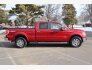 2014 Ford F150 for sale 101845519