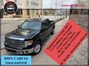 2014 Ford F150 for sale 101847109