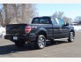 2014 Ford F150 for sale 101848006