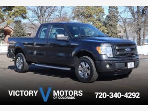 2014 Ford F150 for sale 101848006