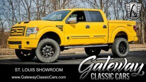 2014 Ford F150 for sale 101852090