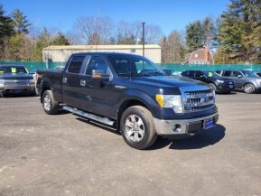 2014 Ford F150 for sale 101865808