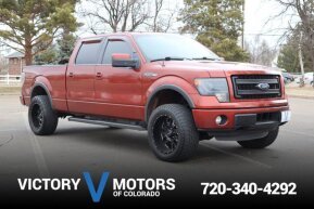 2014 Ford F150 for sale 101865973