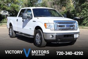 2014 Ford F150 for sale 101947518
