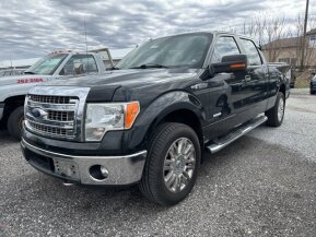 2014 Ford F150 for sale 102013184