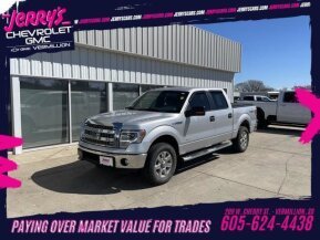 2014 Ford F150 for sale 102021663