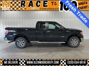 2014 Ford F150 for sale 102025994