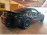 2014 Ford Mustang Shelby GT500 for sale 101837936