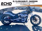 Thumbnail Photo 18 for 2014 Harley-Davidson Softail