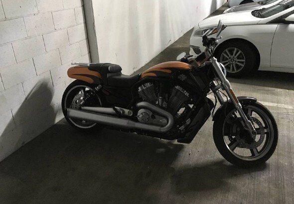 Harley Davidson V Rod Motorcycles For Sale Motorcycles On Autotrader