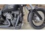 2014 Harley-Davidson Dyna Street Bob for sale 201280702