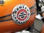 Thumbnail Photo 6 for 2014 Harley-Davidson Softail