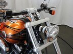 Thumbnail Photo 28 for 2014 Harley-Davidson Softail