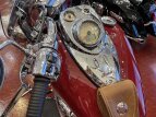 Thumbnail Photo 12 for 2014 Indian Chief Vintage