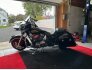 2014 Indian Chieftain for sale 201380196