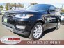 2014 Land Rover Range Rover Sport for sale 101396223