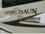 2015 Coachmen Leprechaun 319DS for sale 300231551