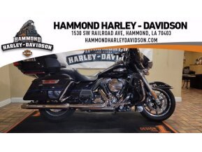 2015 Harley-Davidson Shrine