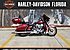 2015 Harley-Davidson Touring for sale 200795007