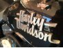 2015 Harley-Davidson Dyna Street Bob for sale 201277945
