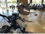 2015 Harley-Davidson Dyna Street Bob for sale 201326239