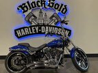 Thumbnail Photo 24 for 2015 Harley-Davidson Softail