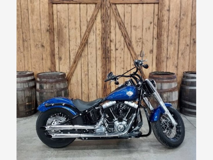 Photo for 2015 Harley-Davidson Softail 103 Slim